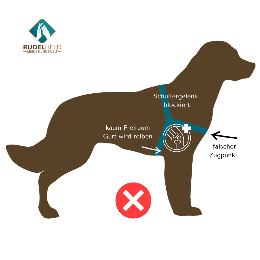 Infografik zum Step-In Geschirr